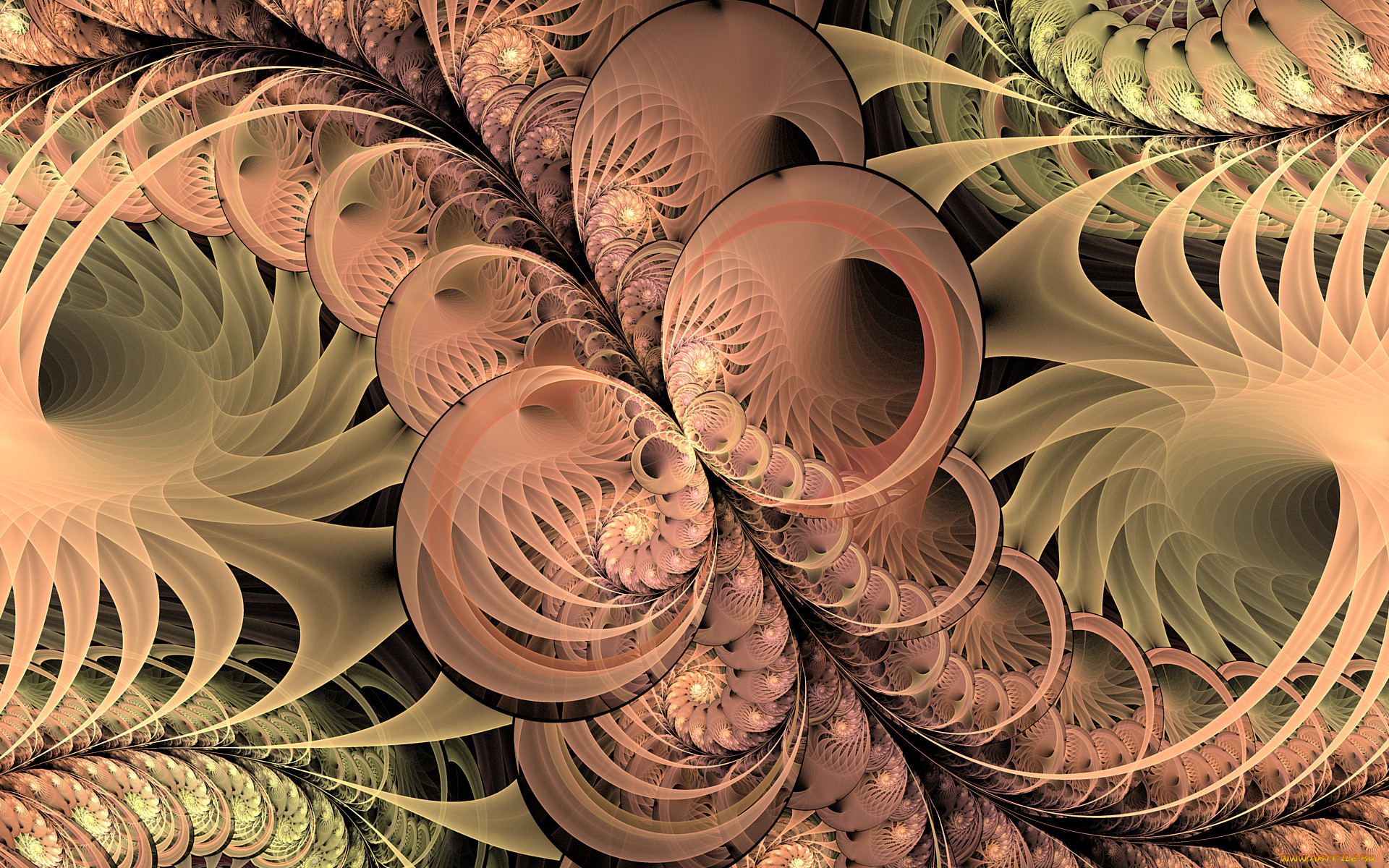 3 ,  , fractal, , , 